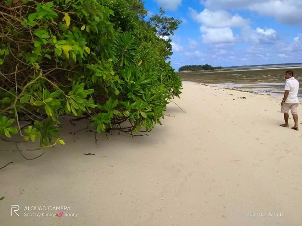 BEACH LOT FOR SALE IN MALINAO, GENERAL LUNA, SIARGAO - photo 5