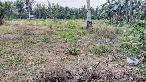 2 lots, 300 sqm each lot for Sale in Polonuling, Tupi, South Cotabato — Residential Lot in Tupi, South Cotabato, Philippines — Photo 5