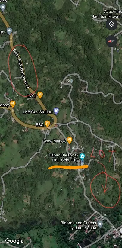 4000 sqm LOT IN BABAG 2, CEBU CITY  - photo 4