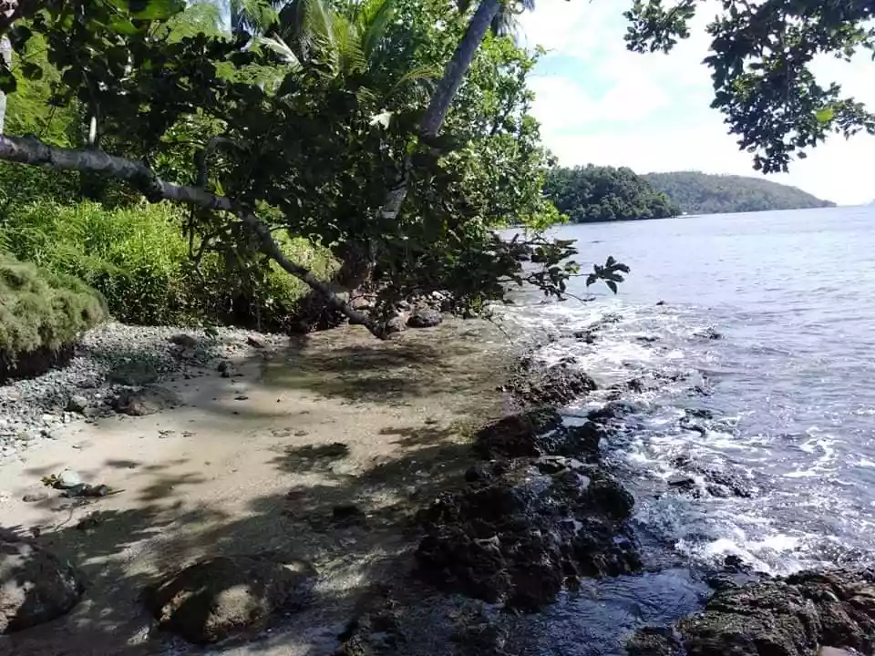 Beach Lot For Sale in Sta. Monica, Siargao Islands - photo 7