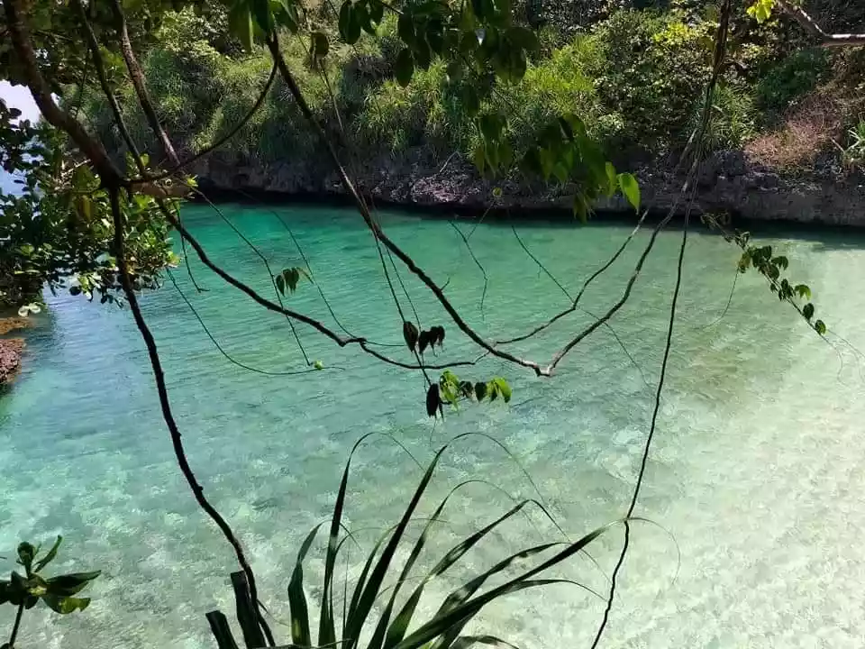Open photo 14 of 16 — Beach lot in Guimaras