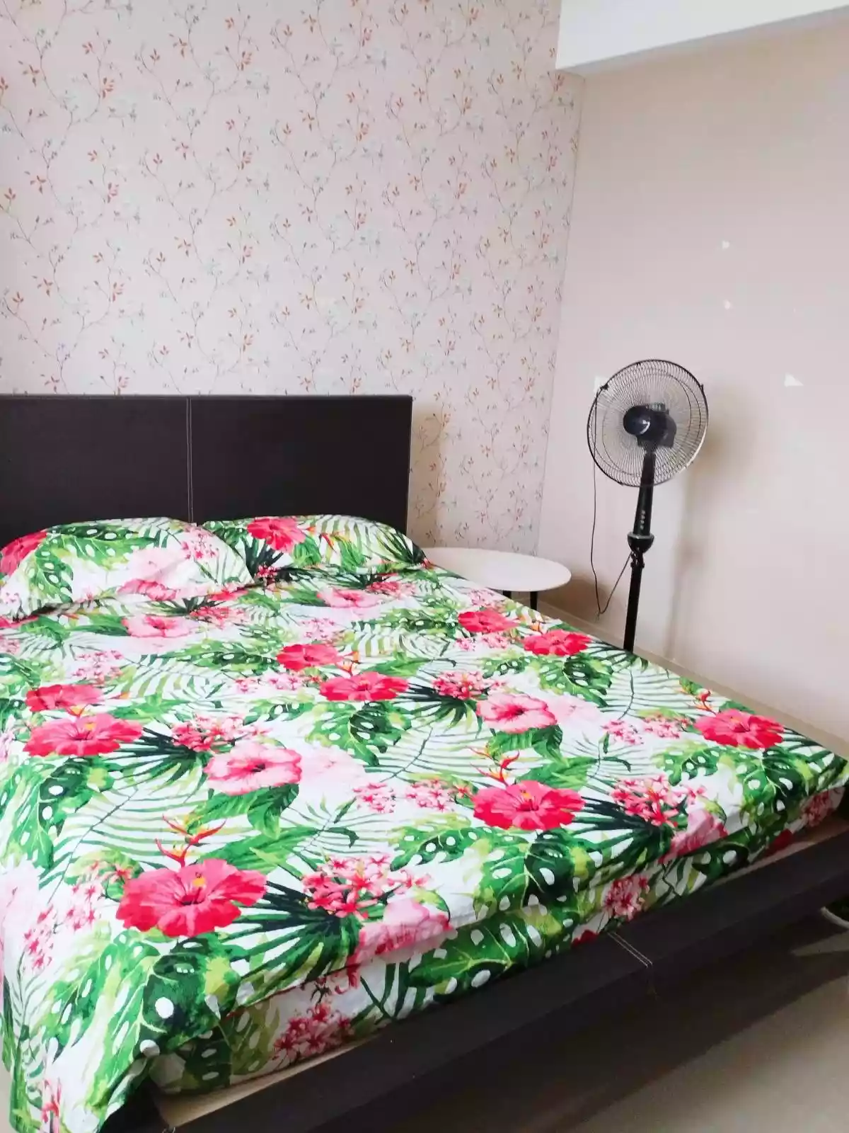 CCT107-109364582 — Studio in Mandaue City, Philippines — Photo 3