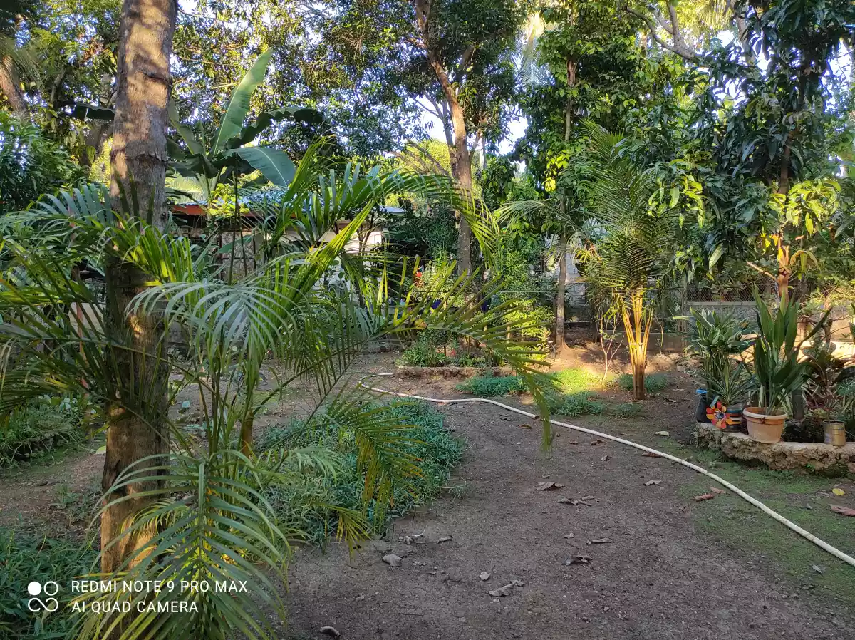 Cogon — Residential Lot in Compostela, Cebu, Philippines — Photo 3