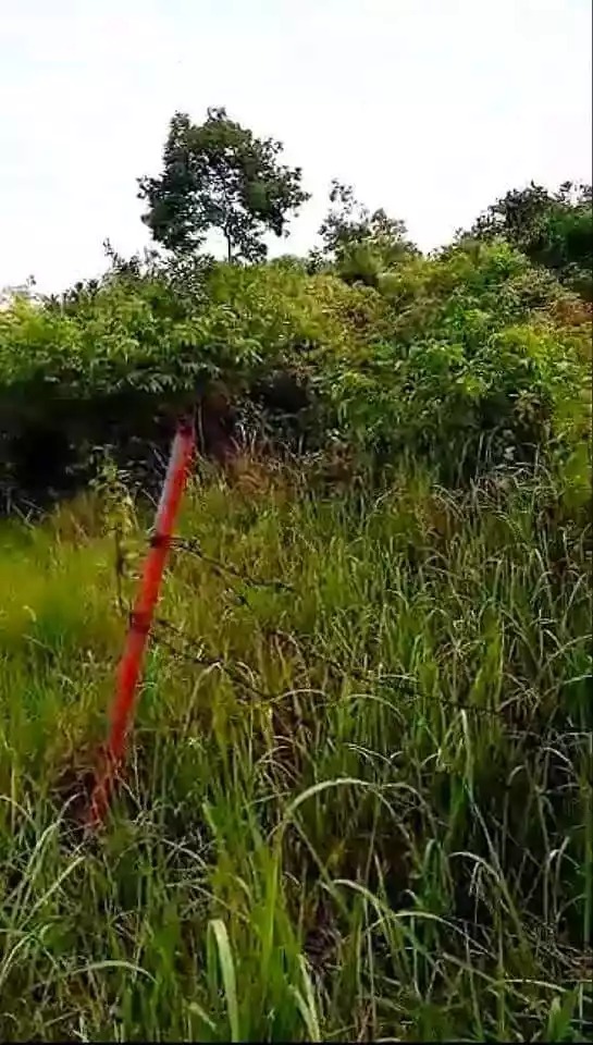 Lot for Sale in Panglao! — Residential Lot in Bohol, Philippines — Photo 3