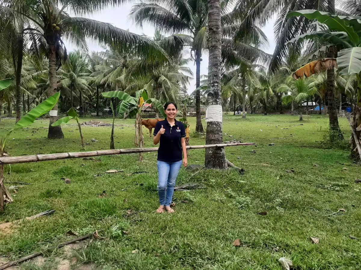 AGRICULTURAL LAND IN TOLEDO - photo 2