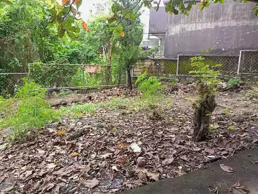 Residential Lot in El Monte Verde Subdivision Phase 1 — Residential Lot in New Orleans Street, Lamac, Consolacion — Photo 2