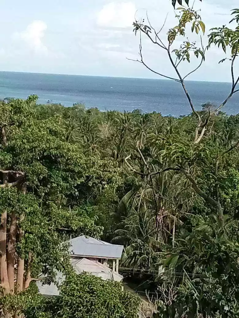LOT FOR SALE IN IPO, CANDABONG, ANDA, BOHOL - photo 3
