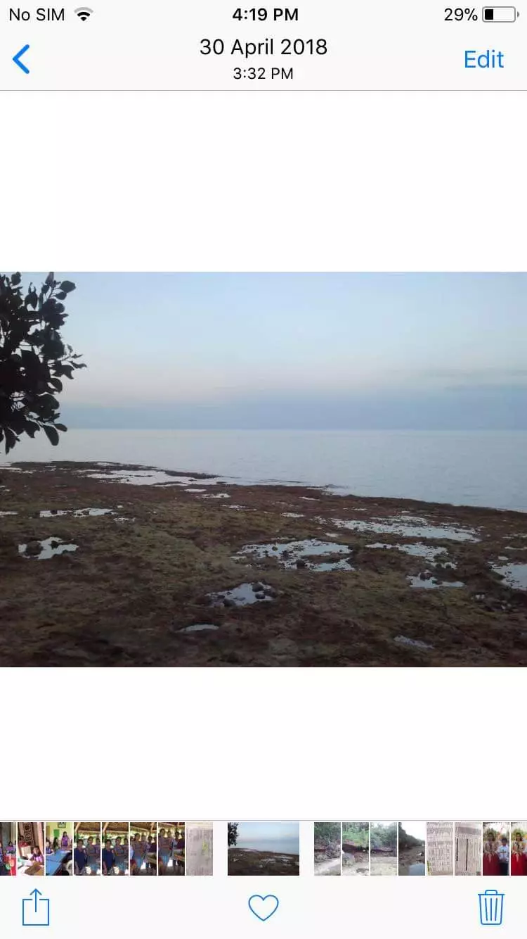 Farm lot for sale - photo 5