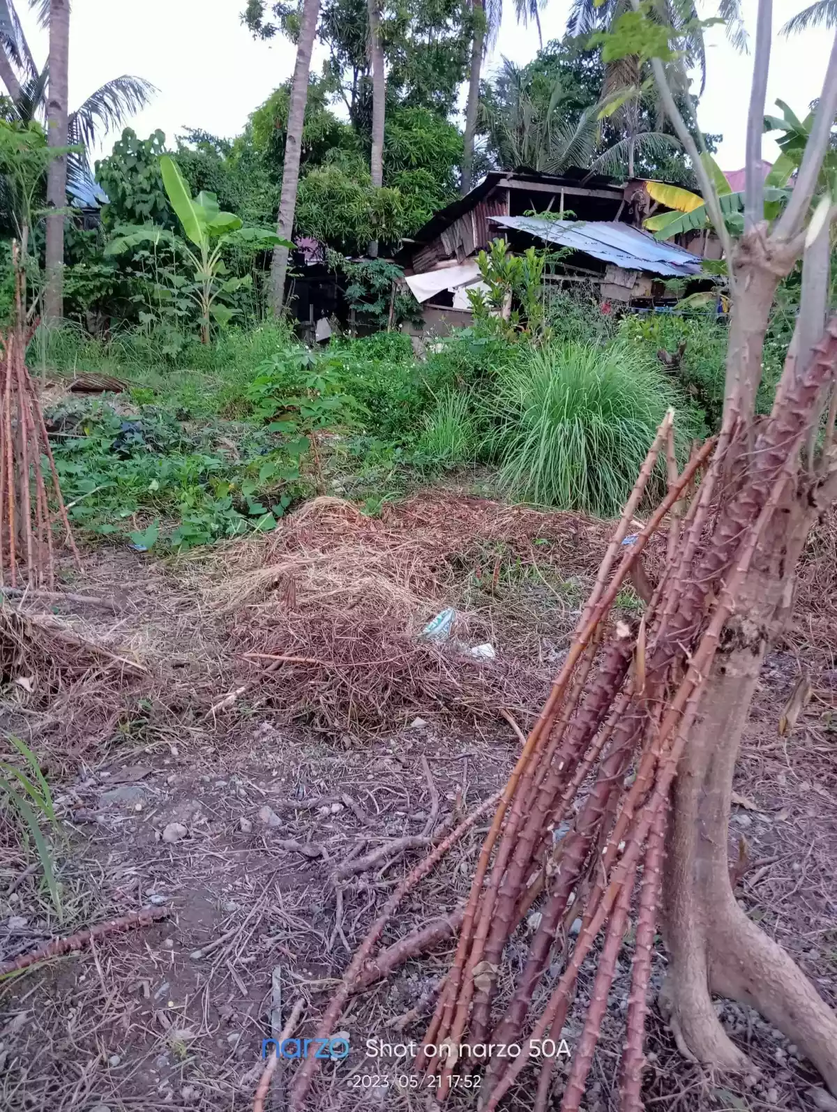 RESIDENTIAL LOT FOR SALE IN TALISAY CITY!! - photo 2