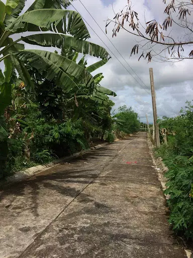 RUSH RESIDENTIAL LOT FOR SALE??