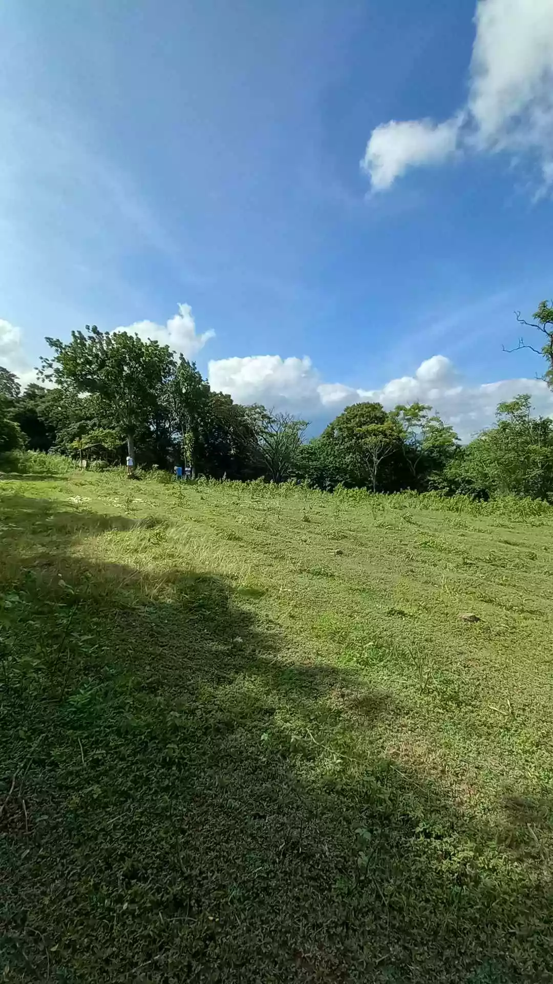 LOT FOR SALE — Agricultural Lot in Zamboanguita, Negros Oriental, Philippines — Photo 3