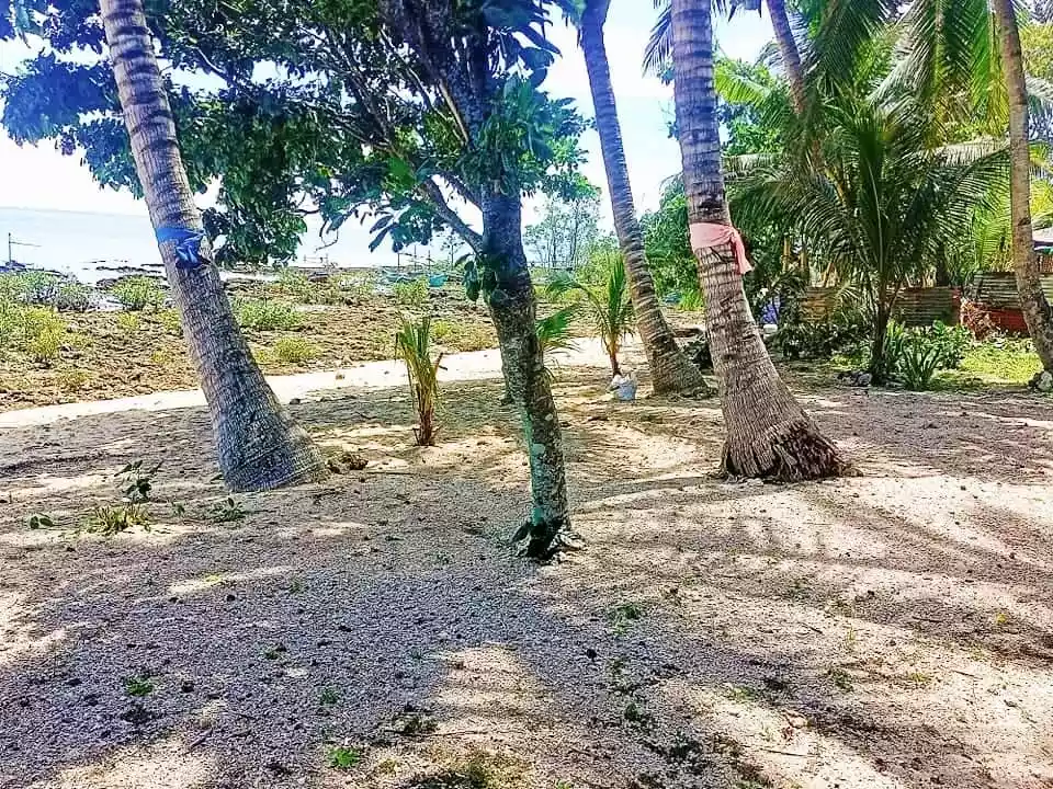 Amazing!!! Hinoba-an Beach Lot — Beach Lot in Hinoba-an, Negros Occidental, Philippines — Photo 3
