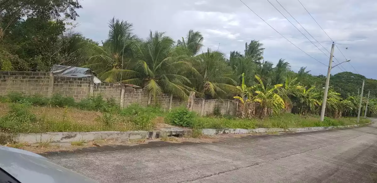 144 sqm Lot only in Glen Rose Residential Estate, Perrelos, Carcar City, Cebu - photo 4