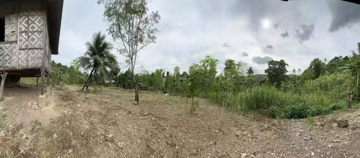 Agricultural land For Sale in Minglanilla Cebu — Agricultural Lot in Lower Tunghaan St, Tunghaan Minglanilla, Minglanilla — Photo 2