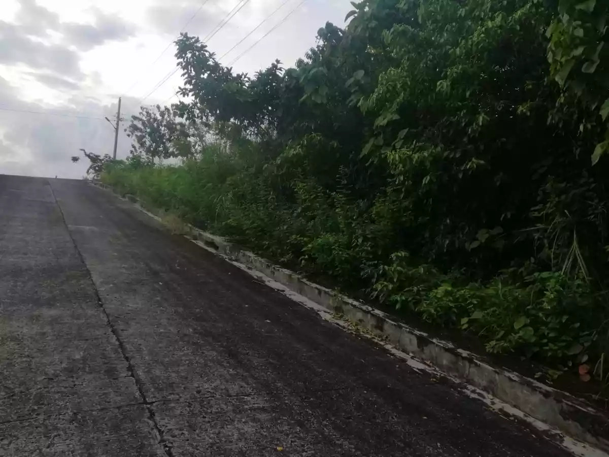 LOT ONLY AT SUMMERHILLS SUBD. — Residential Lot in Compostela, Cebu, Philippines — Photo 2