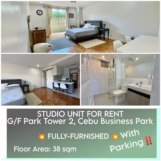 ?Park Tower 2 Studio w/ PARKING For Rent? — Studio in Cebu City, Cebu, Philippines — Photo 2