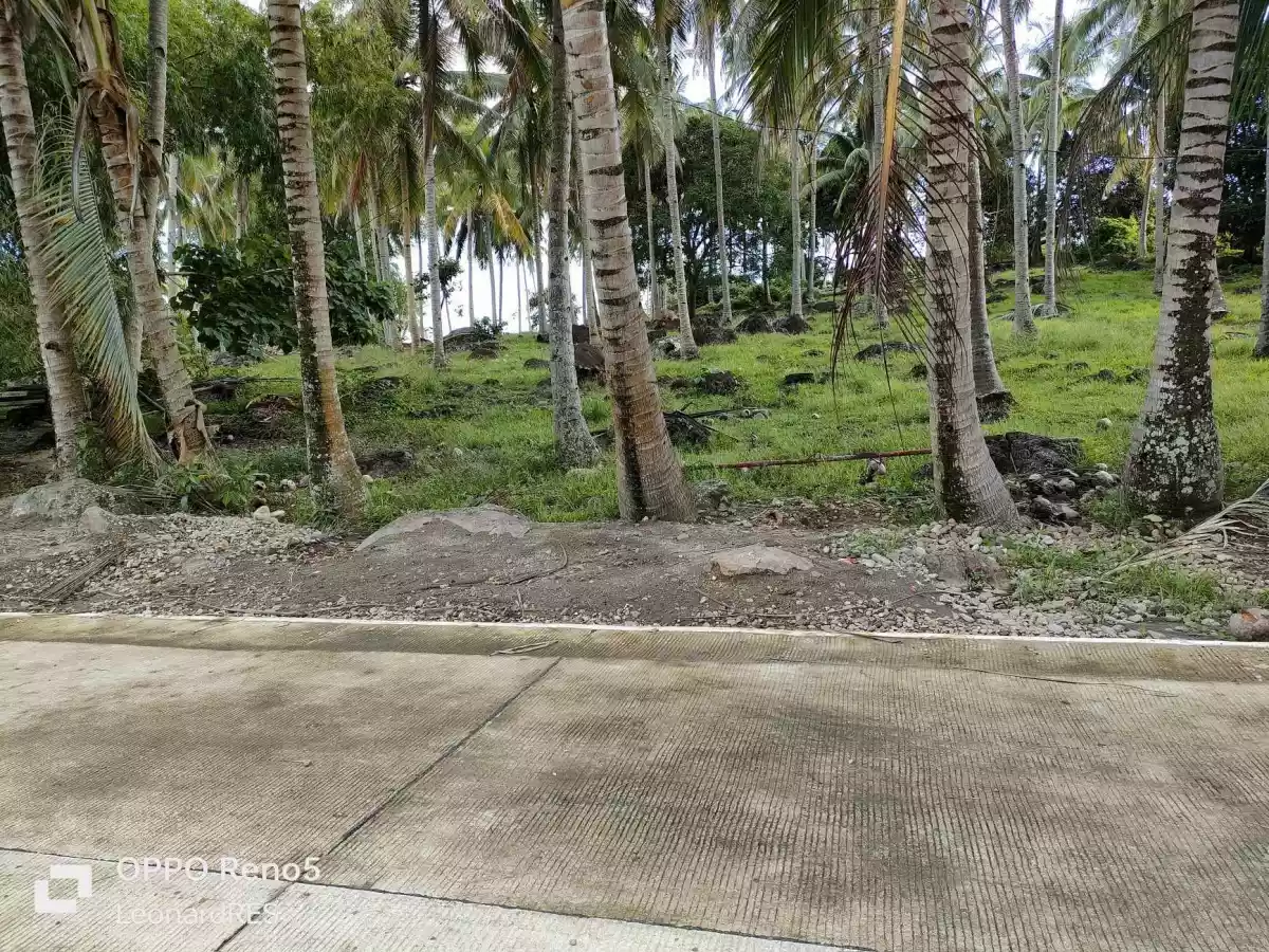1.4993 Hectares Lot for Sale in Cambaloctot San Jose — Agricultural Lot in Negros Oriental, Philippines — Photo 6