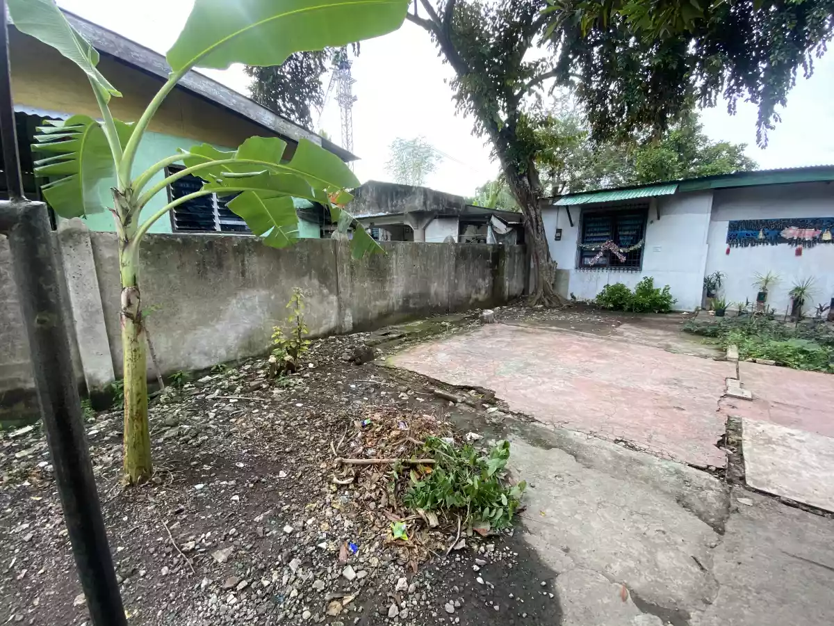  LOT ALONG THE ROAD IN SUBA BASBAS, LAPULAPH FOR SALE !! - photo 3
