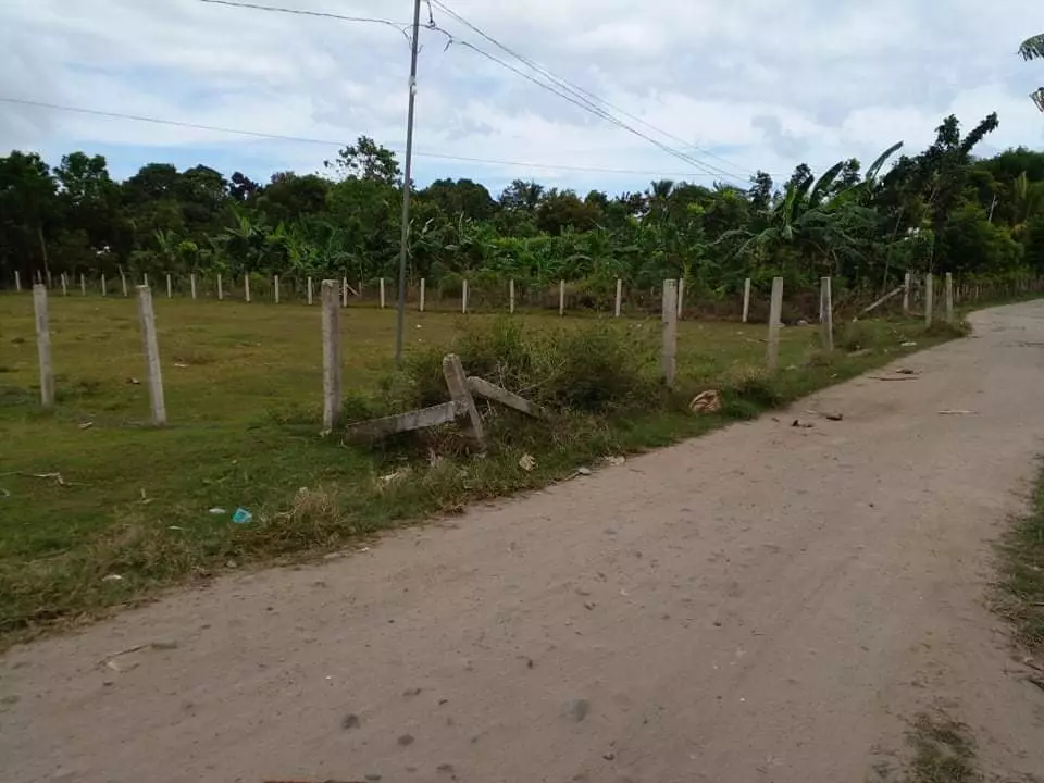 Clean Title Lot for Sale in Batinguel, Dumaguete City - photo 2