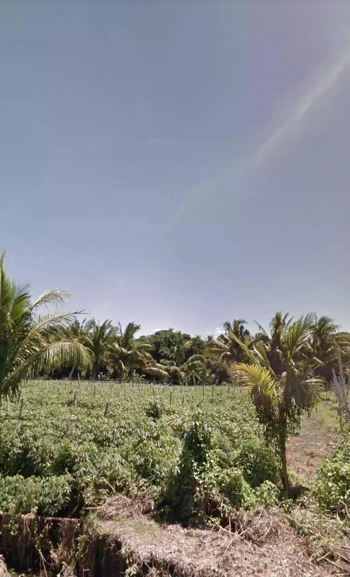 Katangawan Area 1.6 Hectare — Agricultural Lot in General Santos City, South Cotabato, Philippines — Photo 7