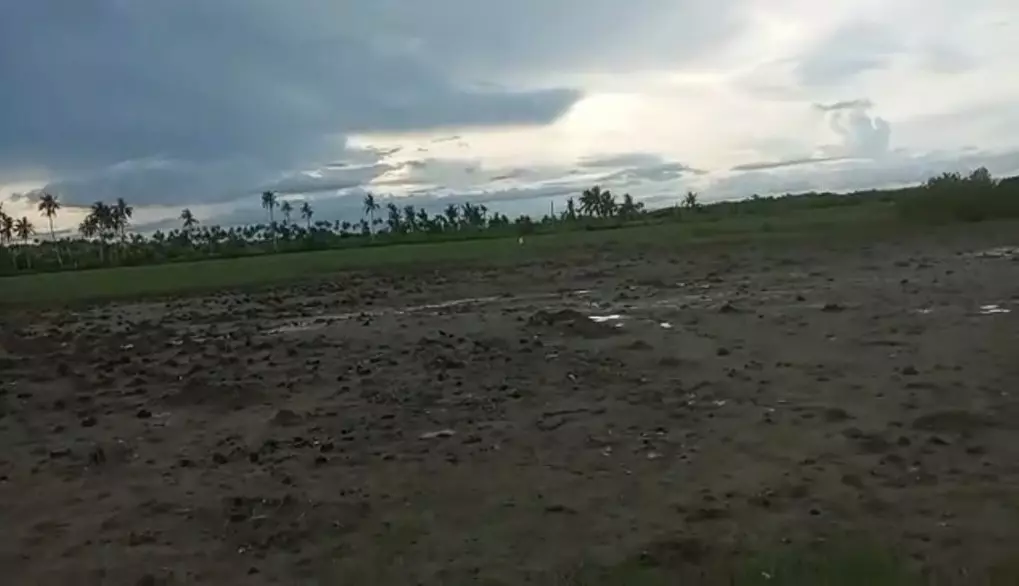 Titled Land — Agricultural Lot in Tubigon, Bohol, Philippines — Photo 5