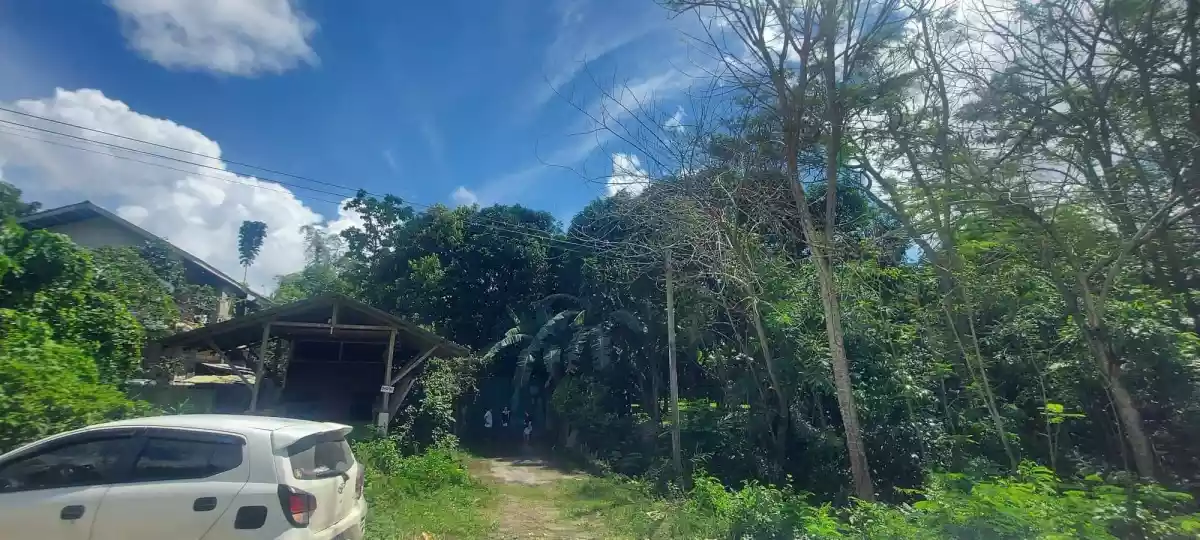 Lot for sale