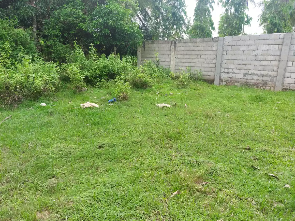 Lot for Sale in Calabnugan Sibulan - photo 5