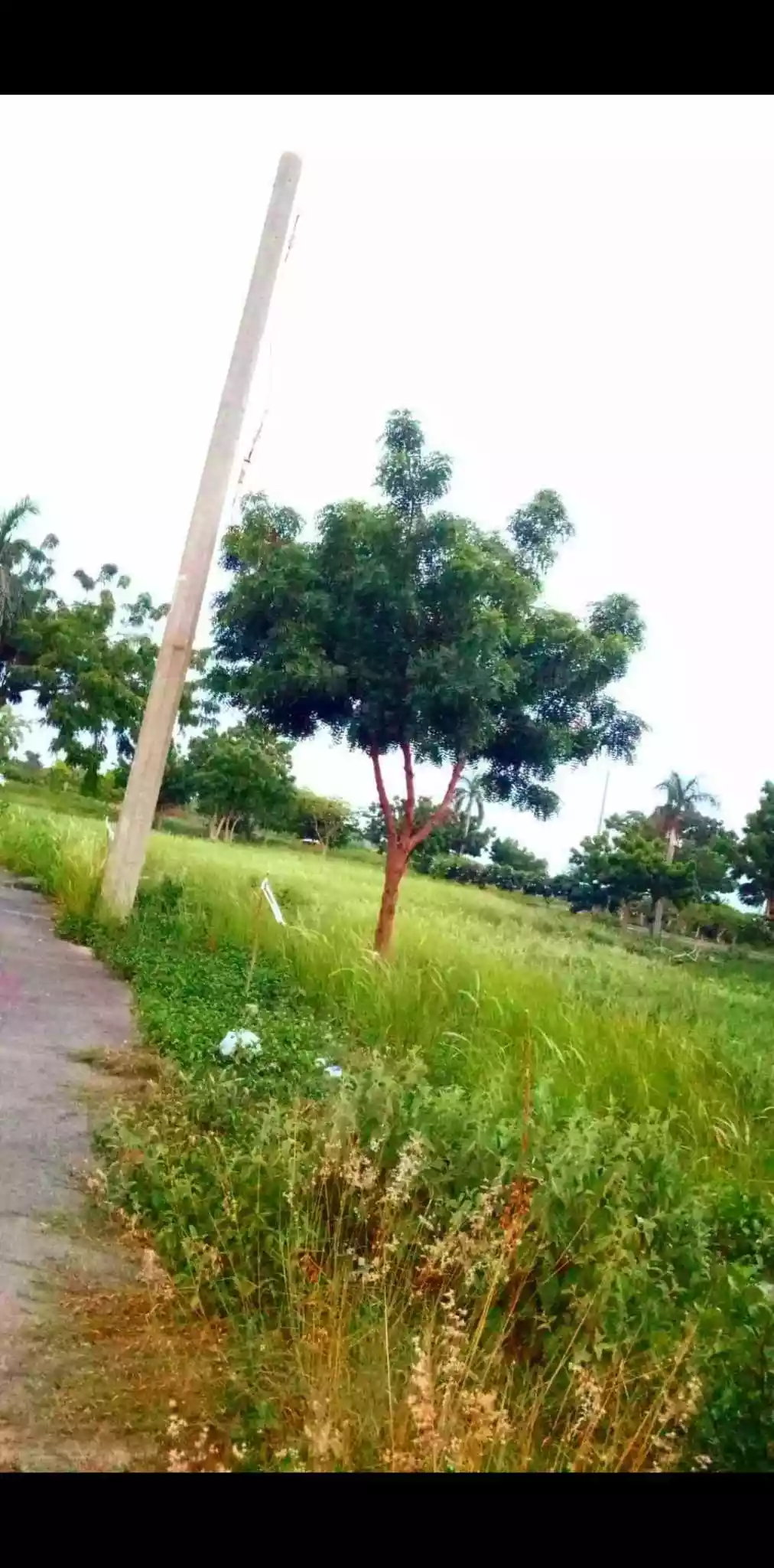 Residential Lot in Vistamar Subdivision in Lapu-lapu City
