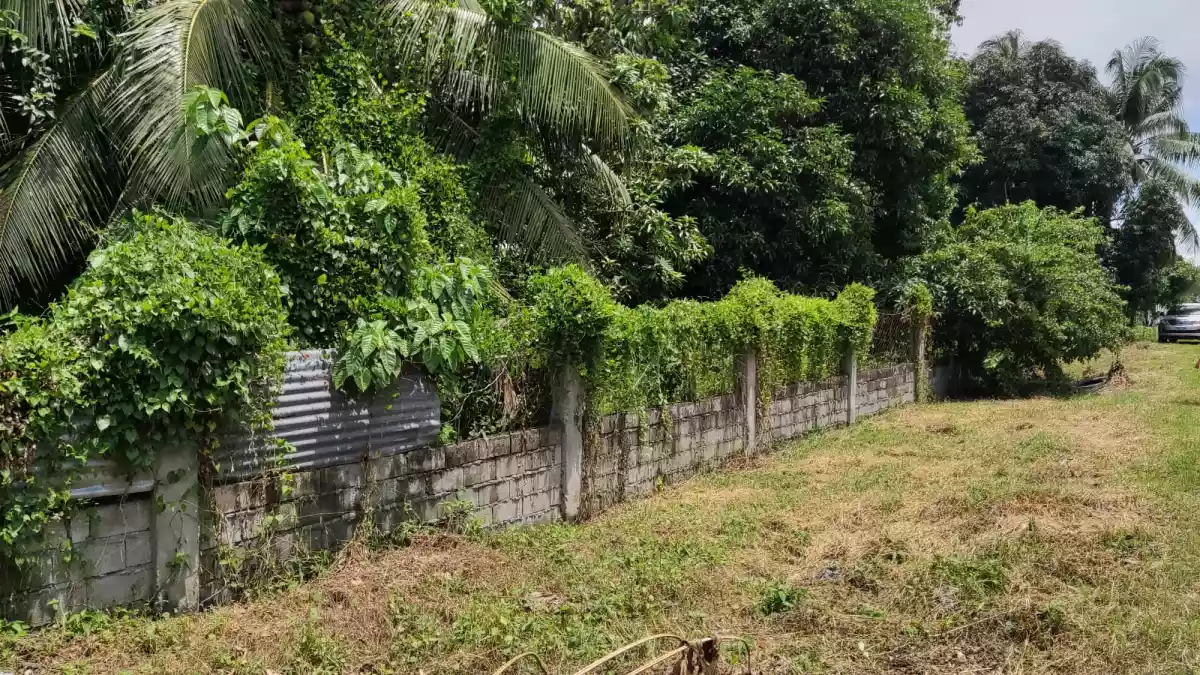 Commercial property 8646 sqm along road - photo 3