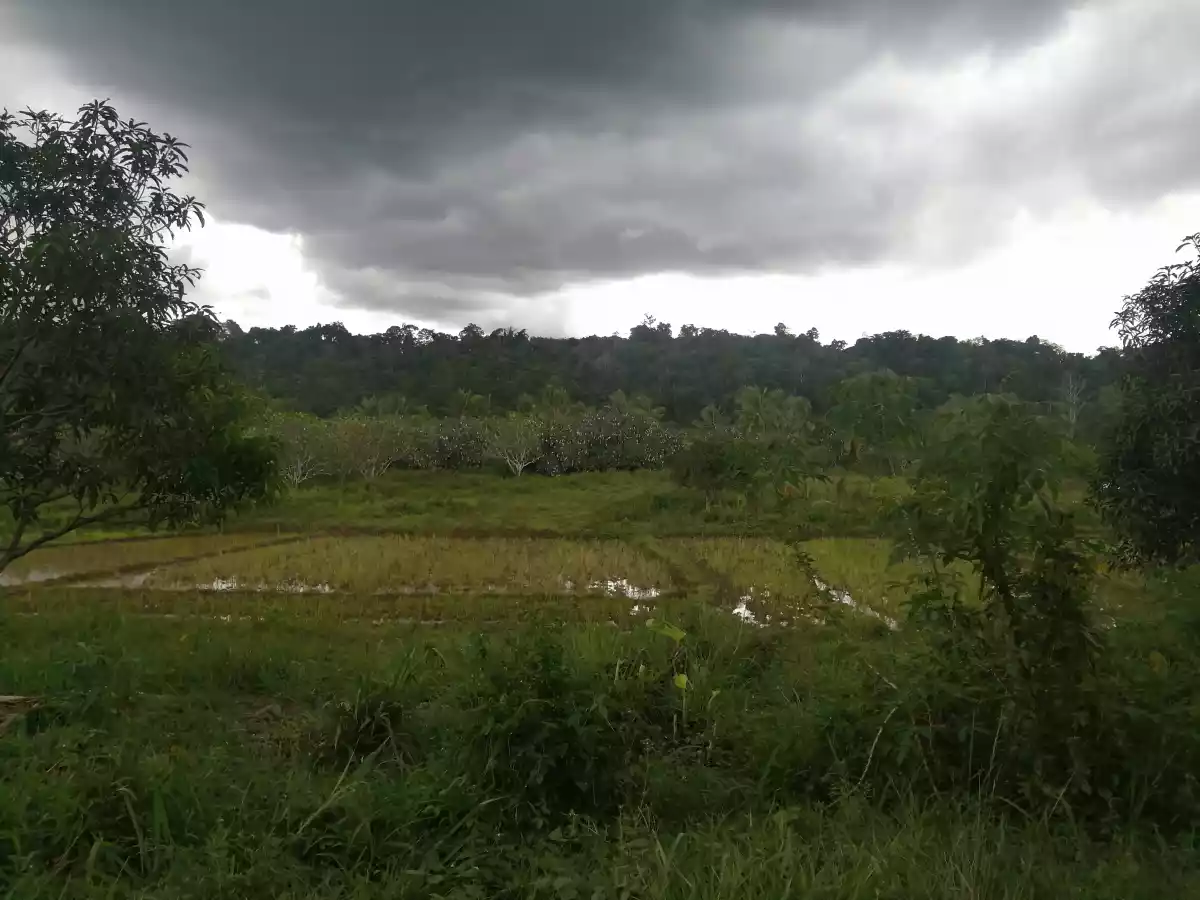 Open photo 12 of 14 — 400sqm Lot for Sale