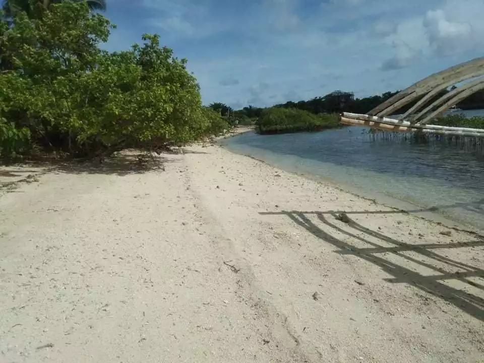 MALAPASCUA BEACH LOT FOR SALE - photo 3