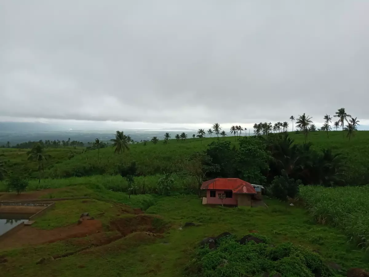 Amlan Negros Oriental 3.03 Hectares Agricultural Lot on Sale - photo 5