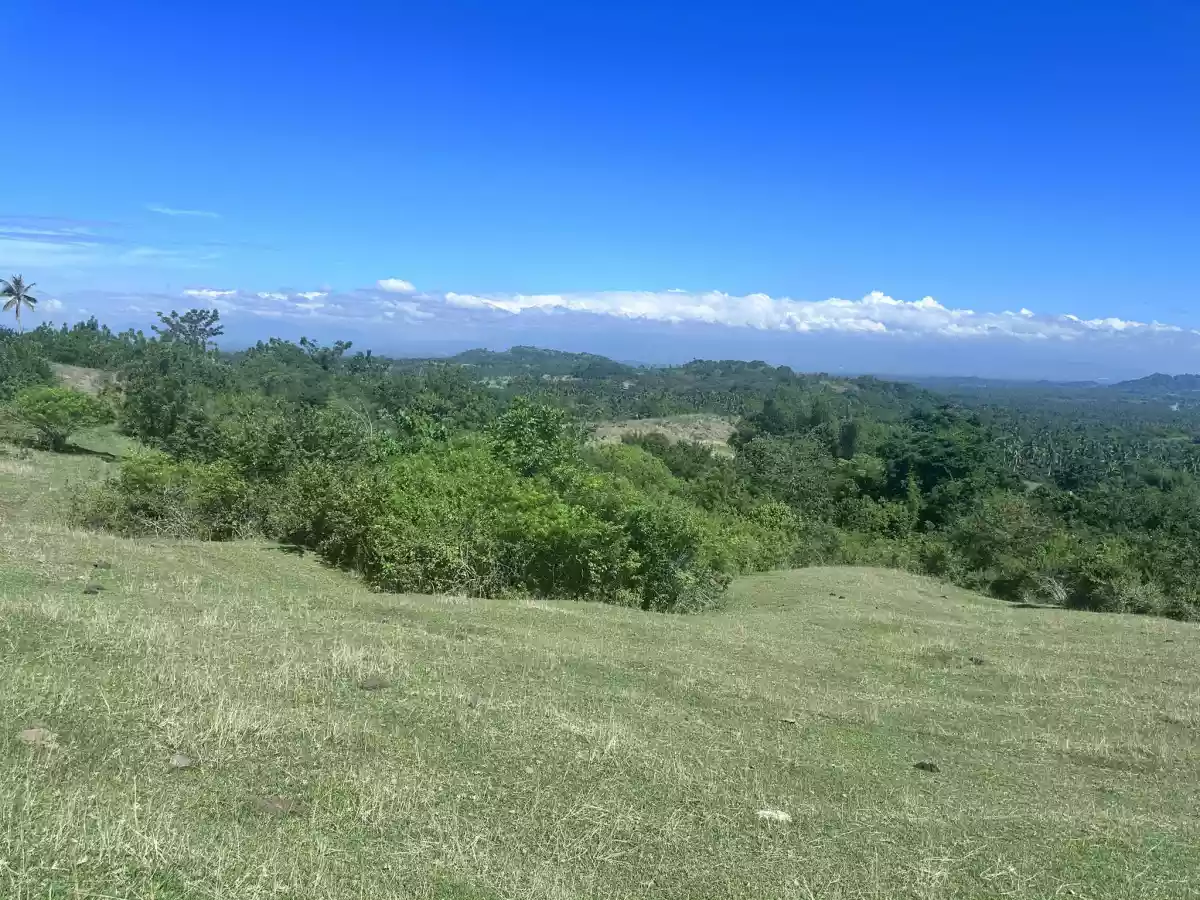 Ocean and Mountain View Property For Sale - photo 3