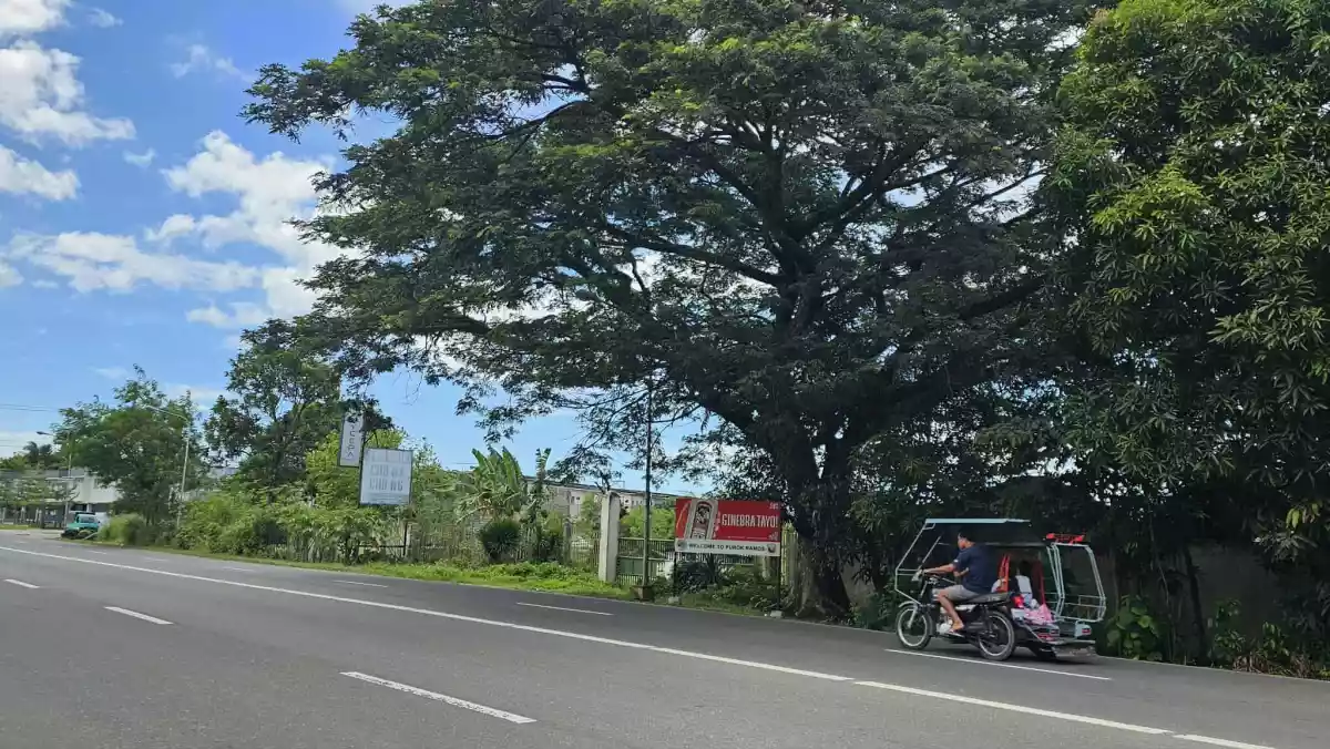 A GOOD DEAL LOT BESIDE CASA RUFINA SOUTH IS FOR SALE!!! — Industrial Lot in UYGEPA CORPORATION Depot, Negros South Road, Bago — Photo 5