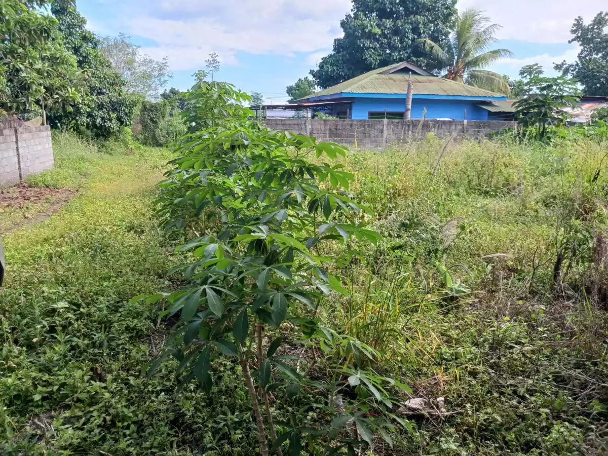 Affordable Lot in Polomolok - photo 6