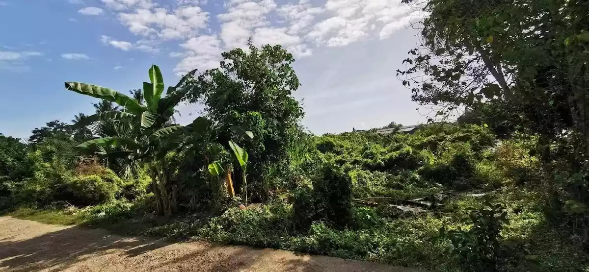 RESIDENTIAL  LOT IN JUBAY, LILOAN CEBU CLEAN TITLE - photo 2