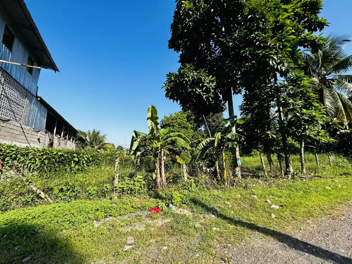 Residential Lot for Sale in Catalunan Pequeño — Residential Lot in Talomo, Davao City, Davao del Sur — Photo 2