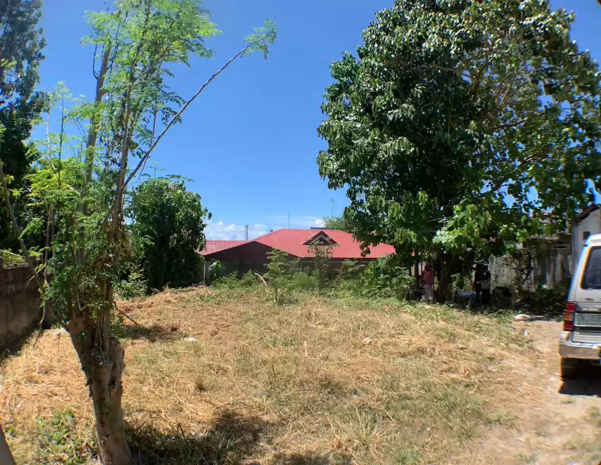 LOT FOR SALE BESIDE KAMALAYA II SUBDIVISION!! — Residential Lot in Abuno, Minglanilla, Cebu — Photo 2