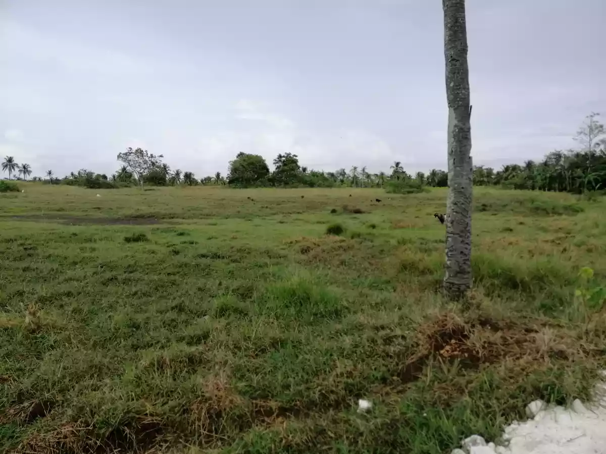 RESIDENTIAL LOT FOR SALE 