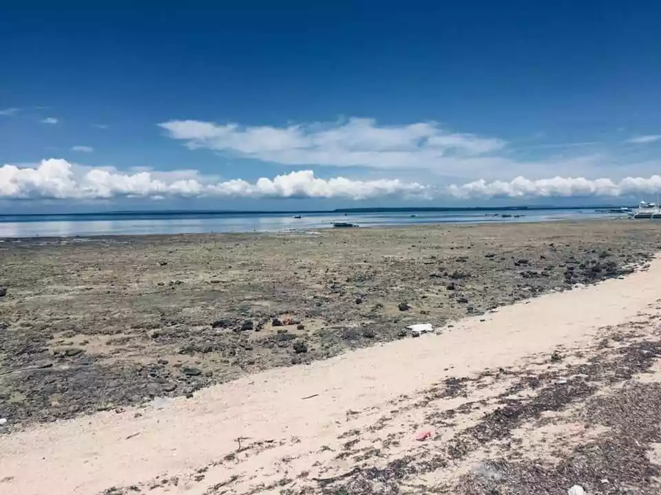 Beachlot for sale — Beach Lot in Philippines — Photo 3