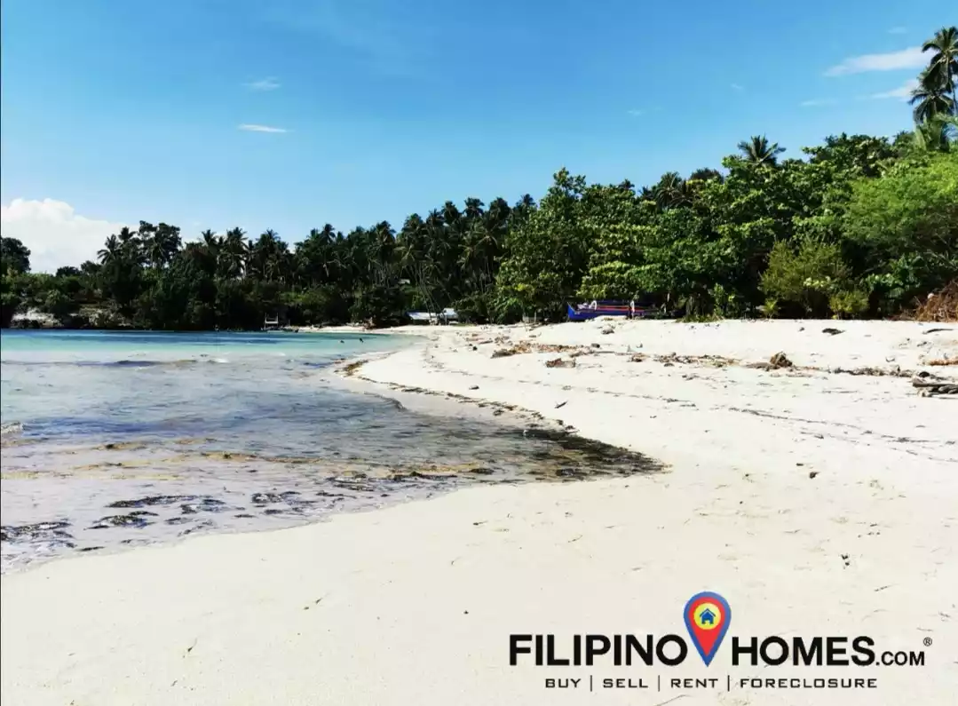 Open photo 13 of 25 — 3 Hectares Whitesand Beach Property 