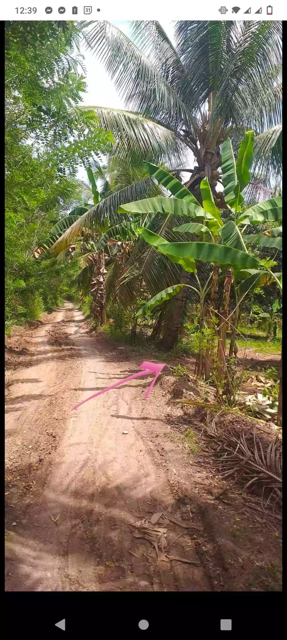 Alabel bagacay lot - photo 2