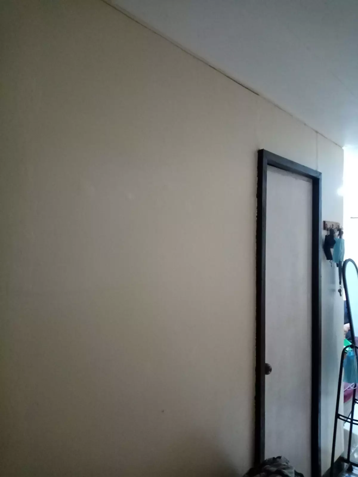 Padtype for Assume in Princess Homes - photo 6