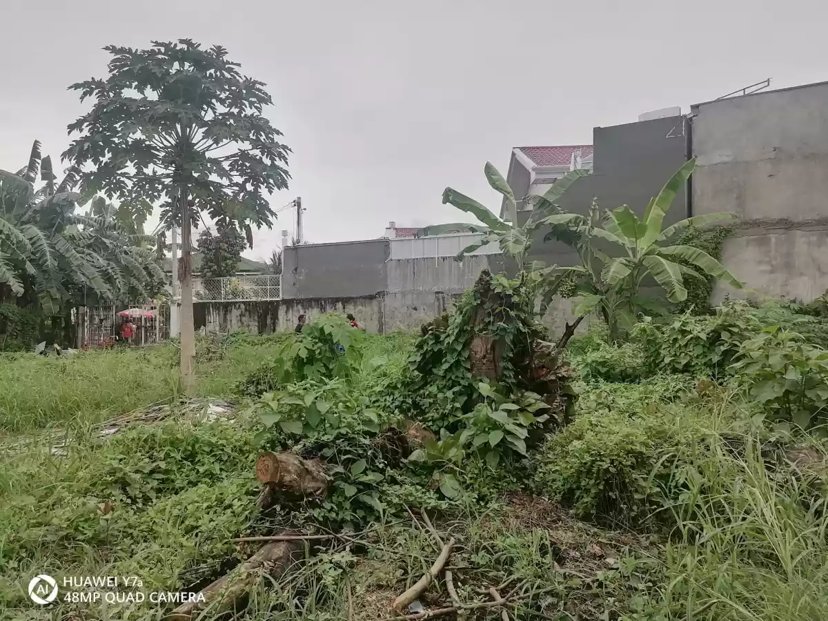 Lot for Sale - photo 4