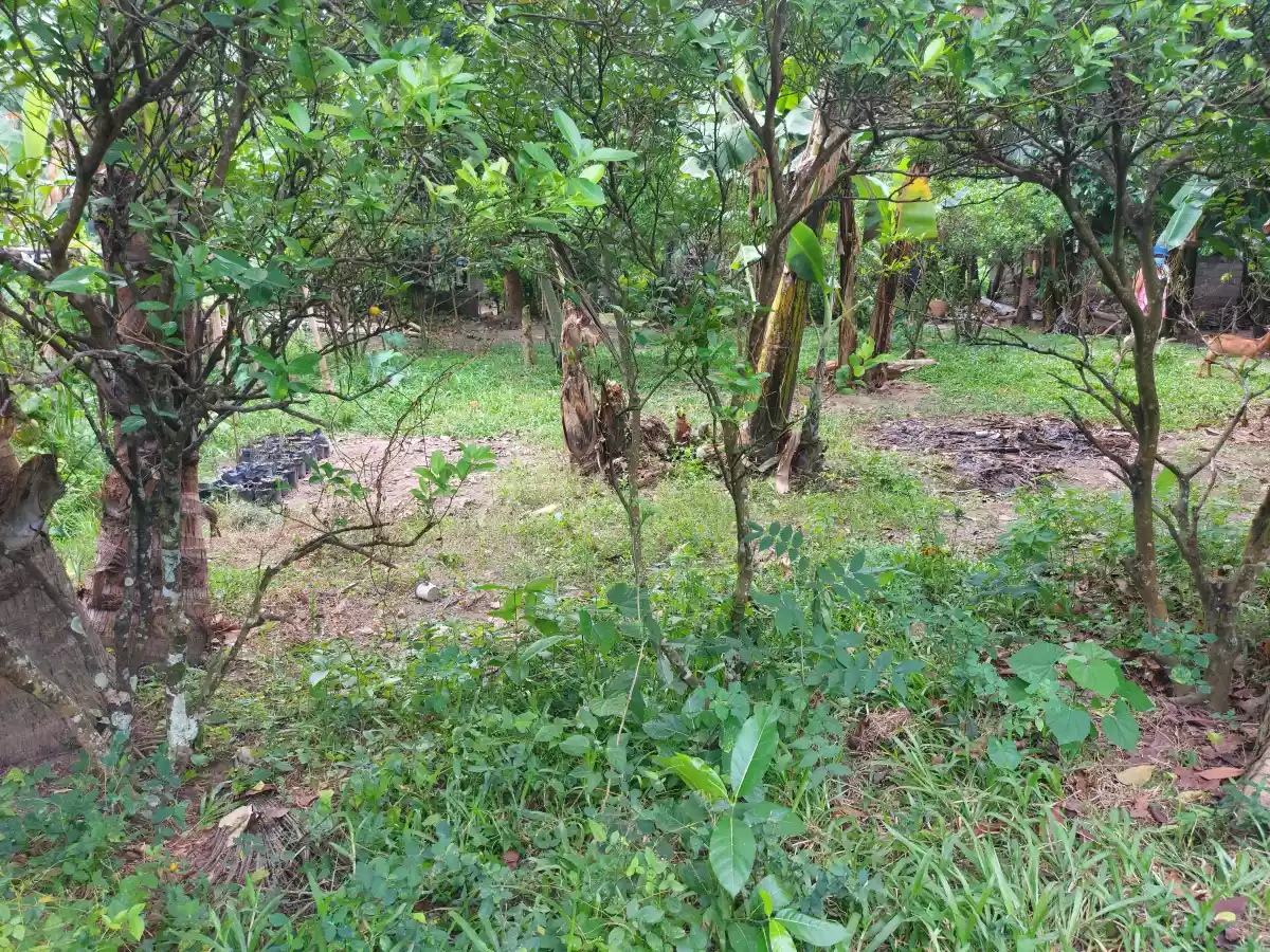 Lot for Sale in Dumaguete - photo 5