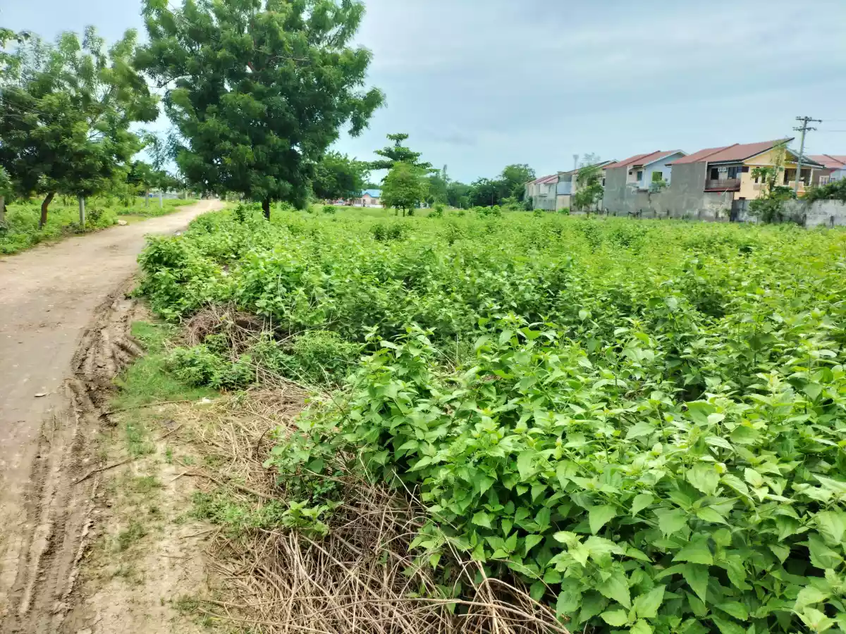 Residential lot - photo 6