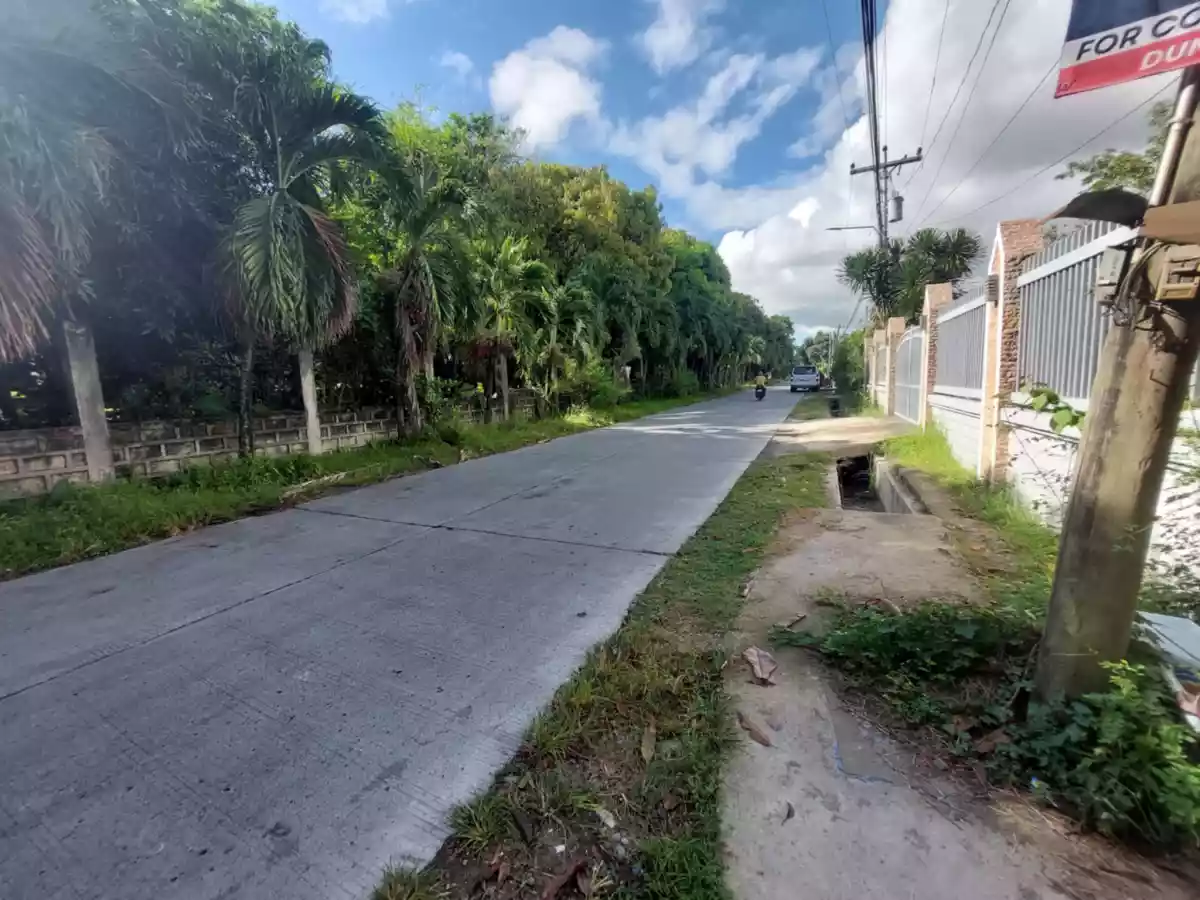 Farm Lot Convertible to Residential — Agricultural Lot in Negros Oriental, Philippines — Photo 3