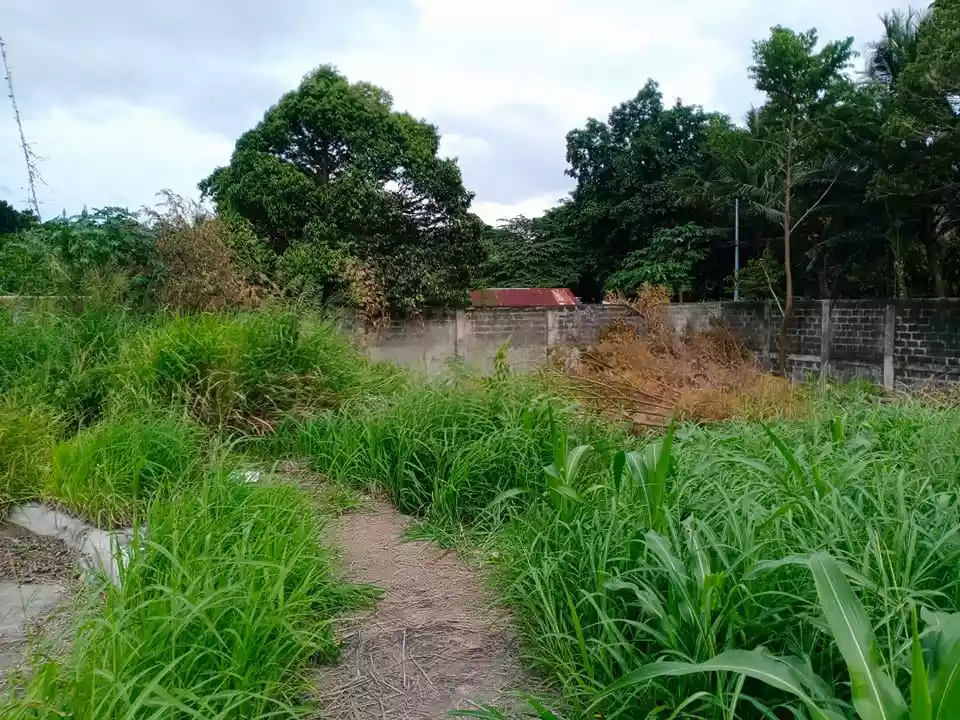 Residential Lot for SALE — Residential Lot in Talomo, Davao City, Davao del Sur — Photo 4