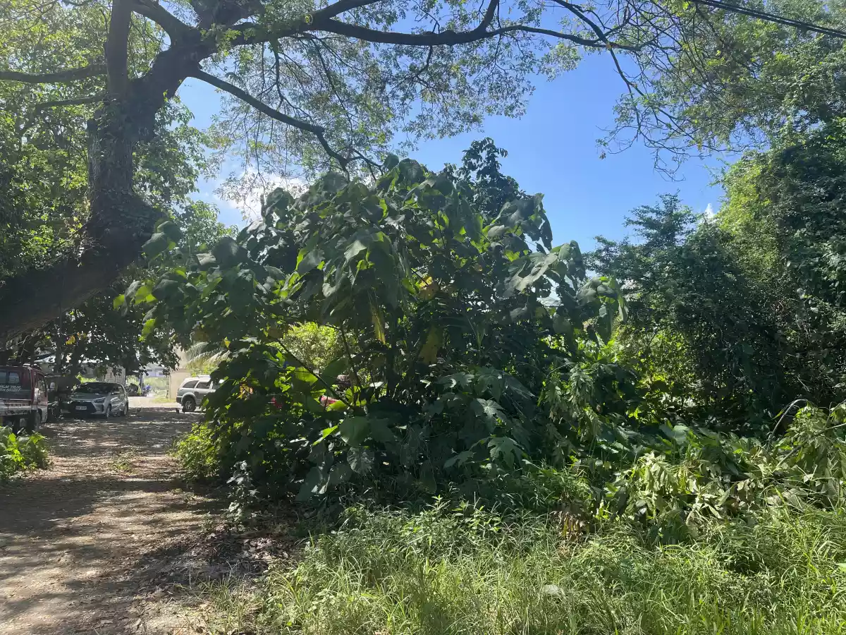 Prime Commercial Lot for Sale in Canitoan, Cagayan de Oro City — Commercial Lot in Misamis Oriental, Philippines — Photo 5