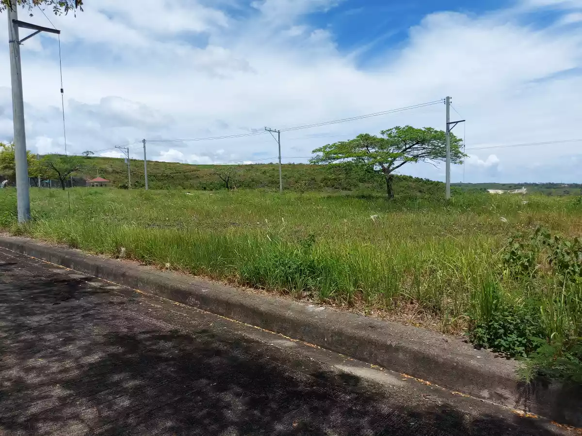 Lot for sale - photo 5